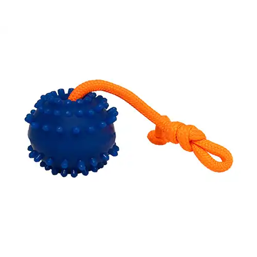 توپ آموزشی بند دار زاریکس